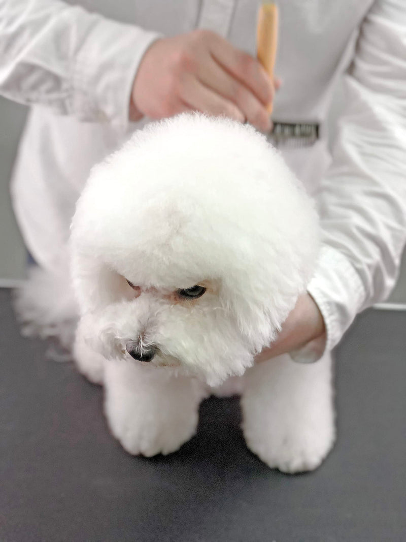 Furzone Slicker Brush for Dogs (Size L) - Stainless Steel Soft Pin Dog Grooming Brush for Dogs
