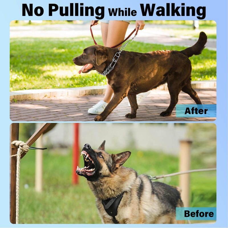 Dog Training Collar, Adjustable Stainless Steel Collar with Quick Release Buckle for Small Medium Large Dogs (XL/Neck Girth 16.9"-22.2") Extra Large Dogs (16.9"-22.2" Neck) - PawsPlanet Australia