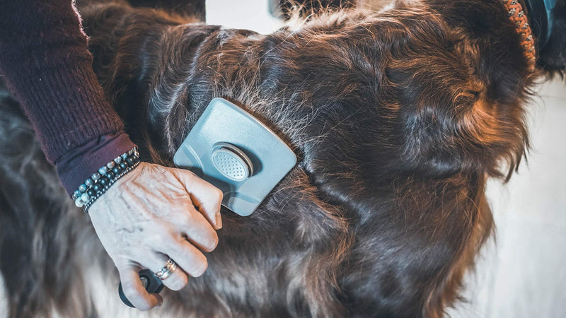 Vetocanis Retractable and Self-Cleaning Grooming Brush for Dogs, 0.2 kg