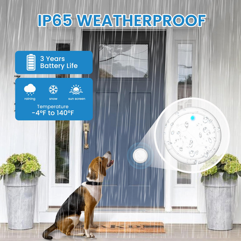 Dog DoorBell for Potty Training, Wireless Doggie Door Bell Operating at 1000 Feet with IP65 Waterproof Touch Button, 32 Melodies 1 Receiver + 1 Button - PawsPlanet Australia