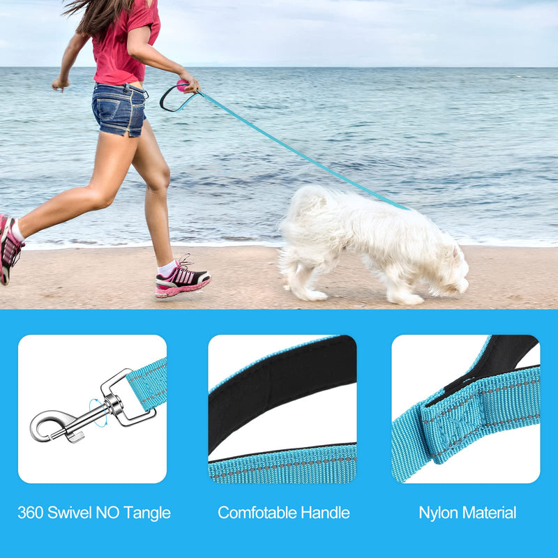 Amylove 12 Pack Dog Leash Bulk, Double Sided Reflective, Nylon Leashes with Padded Handle for Small, Medium, and Large Dogs, 5 Feet Long, Puppy Leashes for Walking and Training - PawsPlanet Australia