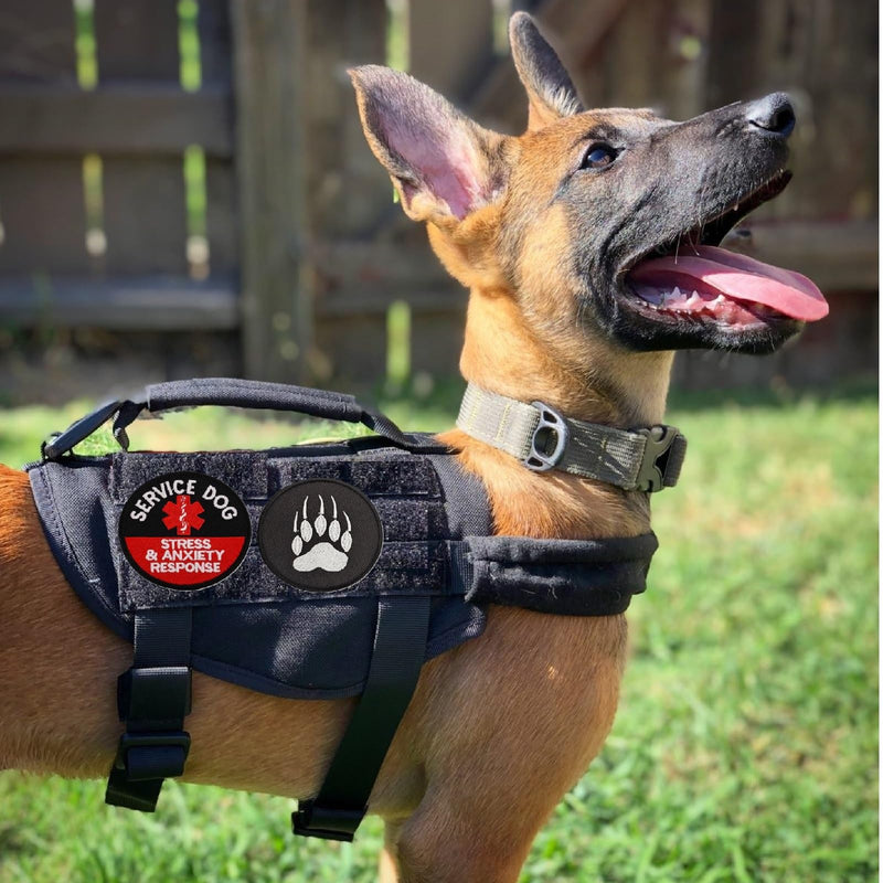 Service Dog Patch and Tag, Id Tag Easily Attach to Collar, Harness,Vest (Medium-1.18 x 4.33) Medium Service Dog(patch&tag) - PawsPlanet Australia