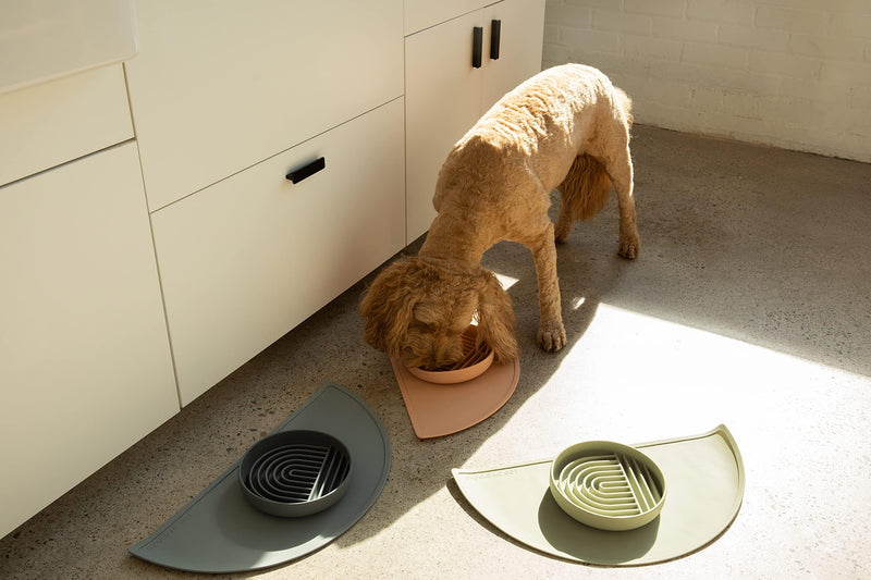 Waterproof Silicone Pet Food Mat - Non-Slip, Spill-Proof Feeding Mats for Floors, Raised Edge Design, Easy-to-Clean, Durable Flexible Rubber Mat for Dog & Cat Bowls, Medium-Sage Green Sage Green - PawsPlanet Australia