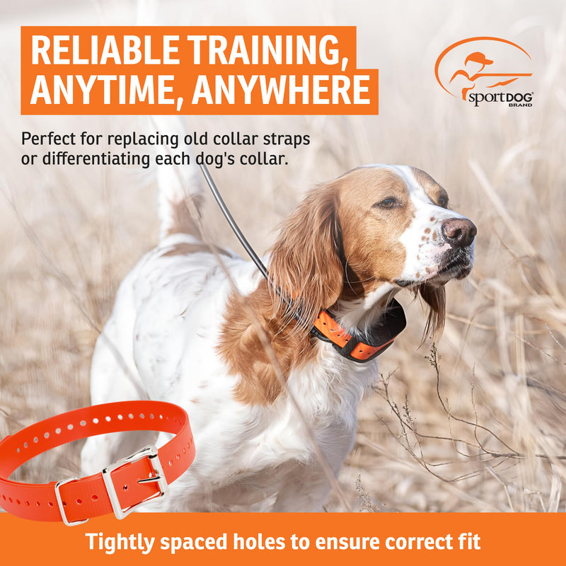 SportDOG 1-Inch Collar Straps - Waterproof Replacement Strap - Custom Fit Holes for Secure Fit - Rustproof Roller Buckle - Orange 1-Inch (Pack of 1)