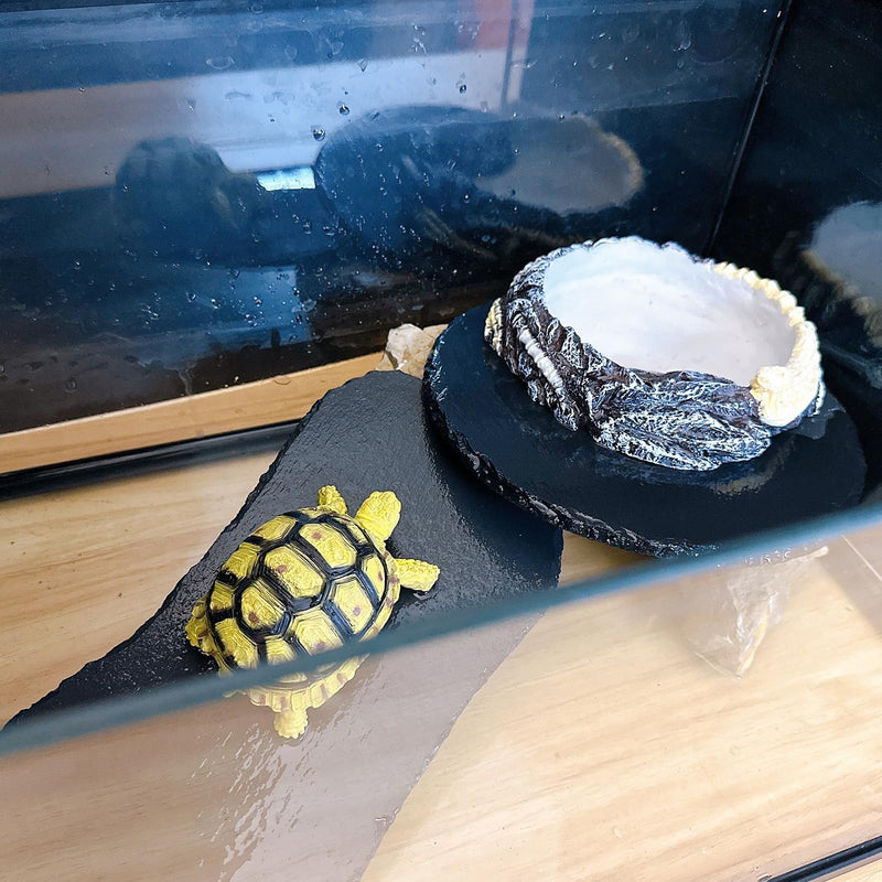Tfwadmx Hermit Crab Water Bowl, Small Reptile Feeding Dish, Tortoise Water Dish, Hermit Crab Food Dish, Reptile Food Bowl for Geckos Corn Snakes Turtles Small Bowl-1Pcs - PawsPlanet Australia