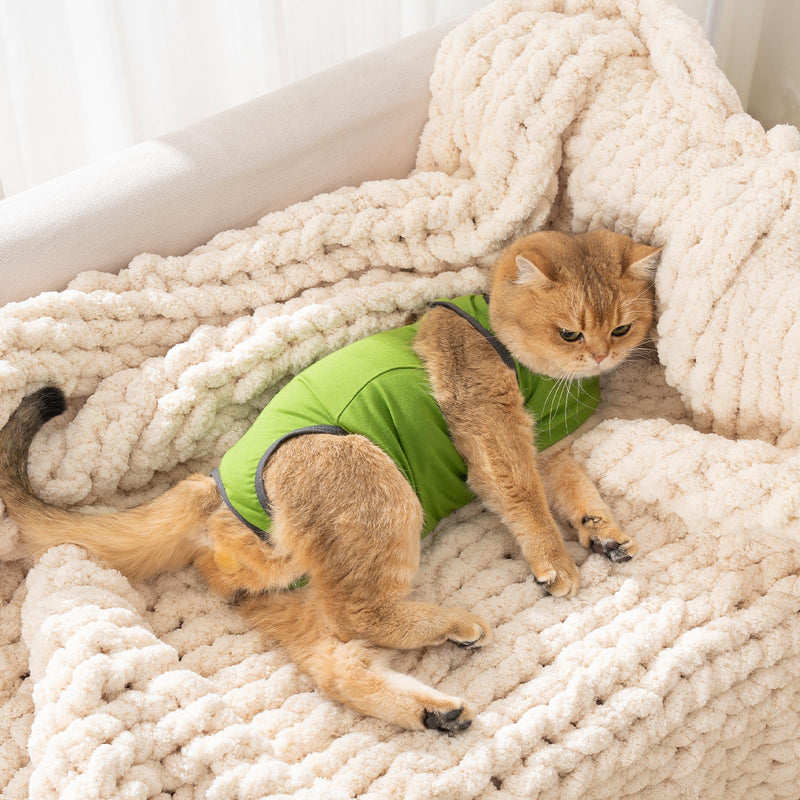 Avont Soft Cat Recovery Cone Collar Bundle with Cat Recovery Suit After Surgery -S