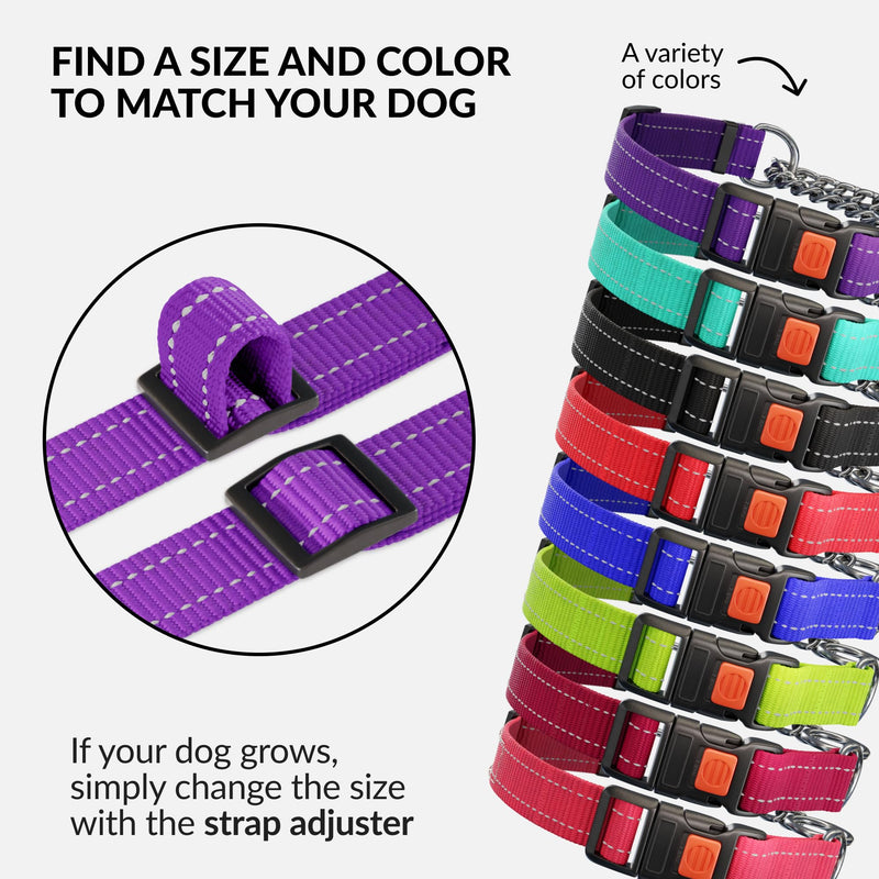 CollarDirect Martingale Dog Collar with Stainless Steel Chain and Quick Release Buckle - Reflective Collar for Large, Medium, Small Dogs - Purple, Medium (Neck Size 14"-17")