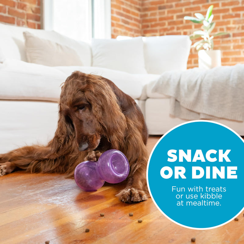 Outward Hound Double Snoop Interactive Treat Stuffer Durable Dog Toy, Dog Treat Toy, Purple One-Size - PawsPlanet Australia