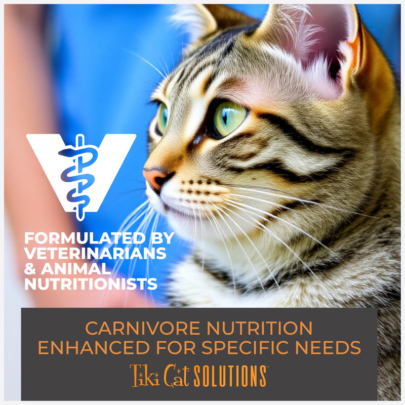 Tiki Cat Solutions Mousse Wet Cat Food, Dental, Chicken Recipe in Broth, 2.4 oz. Pouch (12 Pack)