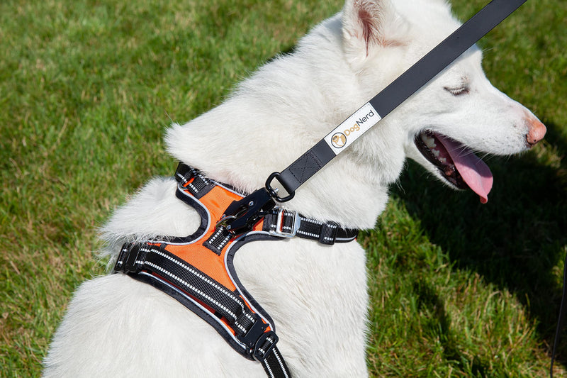 6FT Silicone Heavy Duty No Pull Tactical Dog Leash - Quick Release/Locking Carabiner for Medium & Large Breeds - Waterproof Durable Strong Training Leash (6 FT, Orange) 6' Blaze Orange - PawsPlanet Australia