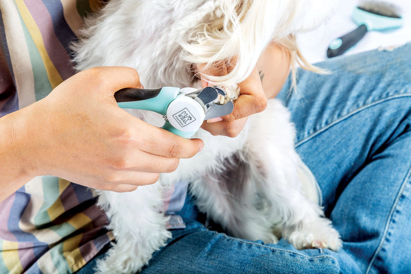 Pixie Paws Grooming Pet Brush 6 Piece Set, Dog and Cat Kit, Dematting Comb, Deshedding Fur, Toothbrush Clean Teeth, Remove Knot Tangles, Nail Clippers, Comfortable Handle - 530004E - PawsPlanet Australia