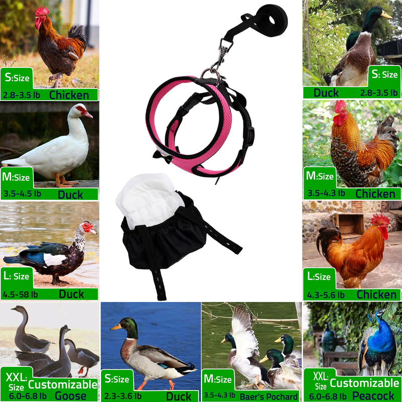 Adjustable Chicken Harness Diaper (5.4ft Leash) – Breathable & Washable Secure Training for Hens, Ducks & Chicks | Outdoor Walking & Discipline Solution (Months, Pink) Medium