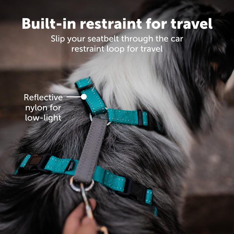 PetSafe 3 in 1 Dog Harness - No Pull Solution for Dogs - Reflective Dog Harness - Front D-Ring Clip Helps Stop Pulling - Comfortable Padded Straps - Top Handle Enhances Control - Teal - Small Small (Pack of 1)