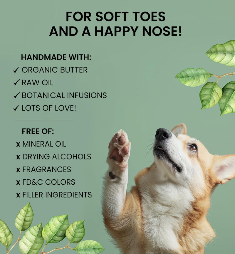 Paw & Nose Balm - All Natural & Vegan Skin Saver for Dogs & Cats - Paw Cream & Lotion for Protecting Dry Paws, Noses & Elbows (2 oz / 60 g Jar) 2 oz / 30 g Jar - PawsPlanet Australia