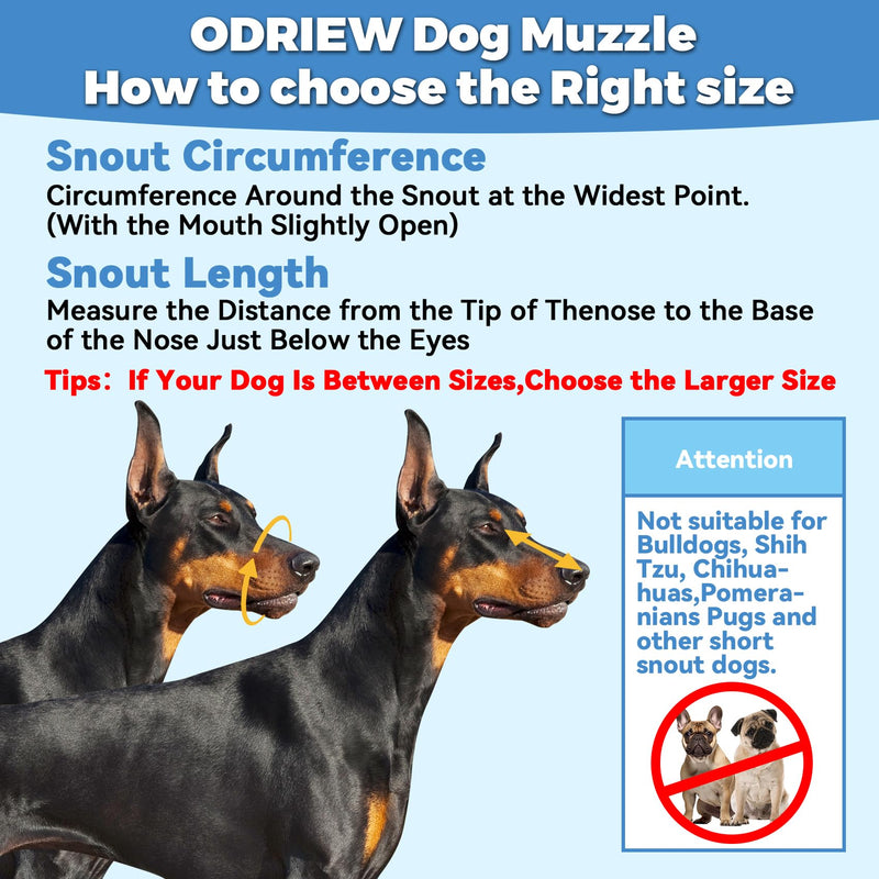 Dog Muzzle for Large Sized Dog - Medium Sized Dogs, Small Basket Muzzle to Prevent Biting - for Barking, Breathable, Allows Panting Drinking, Suitable for Grooming Training. (Black, 6) BLACK - PawsPlanet Australia