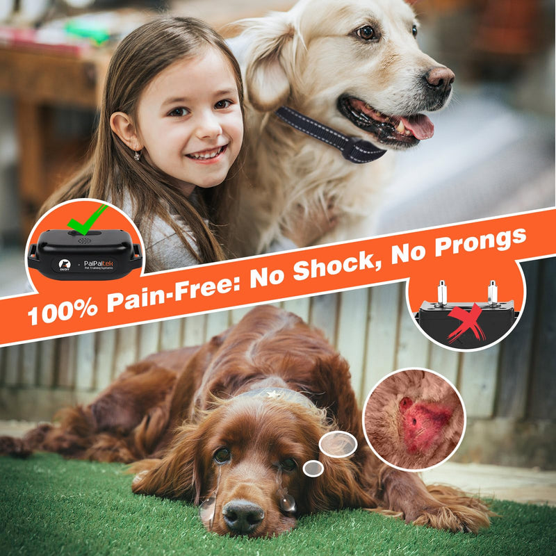 PaiPaitek No Shock Dog Training Collar with Remote 3300ft Range, Humane Vibrating Dog Collar, 3 Modes Ultrasonic, Beep, Vibration for Small Medium Large Dogs - Security Lock & No Prongs Black - PawsPlanet Australia