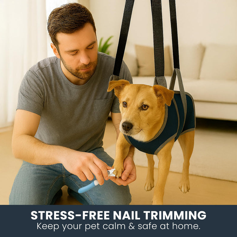 Grooming Hammock Kit for Dogs & Cats, Includes Hammock Harness, Nail Clippers, Nail File, Grooming Glove, Dematting Comb, S-Hooks, Carabiners & Storage Bag for Easy Home Grooming small (75×49) cm Blue - PawsPlanet Australia
