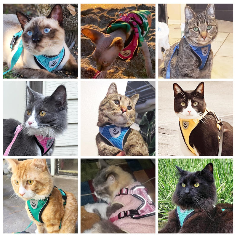 PUPTECK Cat Harness and Leash Set Escape Proof Reflective Cat Walking Harness Adjustable Soft Breathable Mesh Vest for Small Pets, Blue Sharks, M M (NECK 11"-13.7", CHEST 16"-20") - PawsPlanet Australia