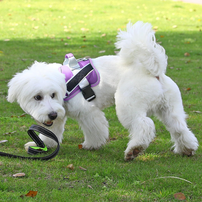 Bolux Dog Harness, No-Pull Reflective Dog Vest, Breathable Adjustable Pet Harness with Handle for Outdoor Walking - No More Pulling, Tugging or Choking (Lavender, Medium (Pack of 1)) Medium (Pack of 1) Lavender - PawsPlanet Australia