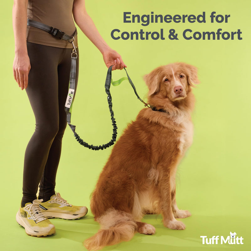 Tuff Mutt Hands Free Dog Leash for Walking Running Hiking, Waist Leash with Bungee, Adjustable Belt, Reflective Double Handle Design for Large Medium Dogs green/gray