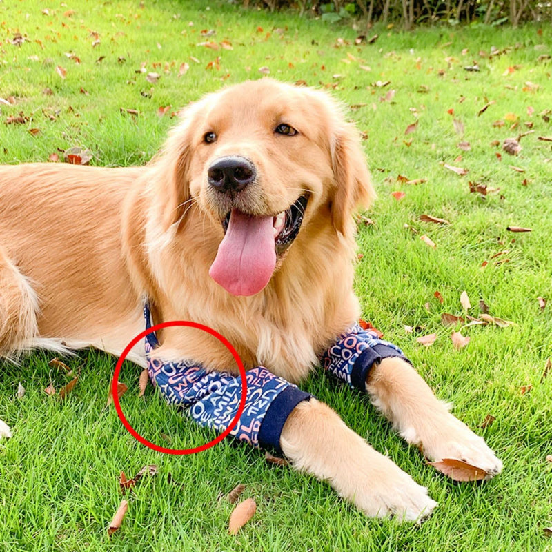 HDKUW Dog Elbow Protector, Dog Leg Recovery Sleeve for Prevent Licking Wound, Joint Sleeves with Mesh Pad for Medium Large Dogs Thickened Letters 2XL - PawsPlanet Australia