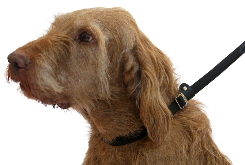 UniWalker Figure of 8 Training Lead for dogs that pull. With collar strap included. 3 leads in 1. Black
