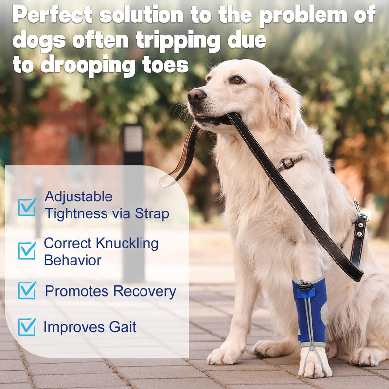 Dog Knuckling Braces Wrap for Hyperflexion of Phalanges Cause by Sciatic Nerve Damage & Carpal Flexural Deformity - Dual Locking Straps for Safe Adjustable Toe Lift Support (Blue, X-Large) Blue