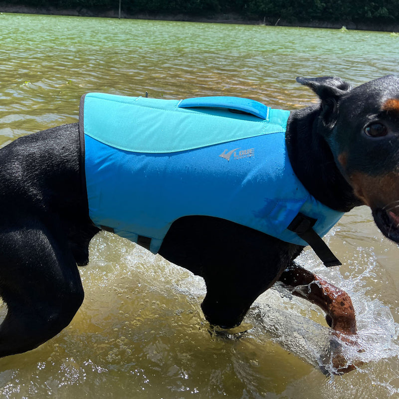 Dog Life Jacket, Sport Style Dog Float Coat with Excellent Buoyancy, Stylish Dog Swimming Safety Vest with Rescue Handle for Small Medium Large Dogs Turquoise L L (Bust 27"-32")