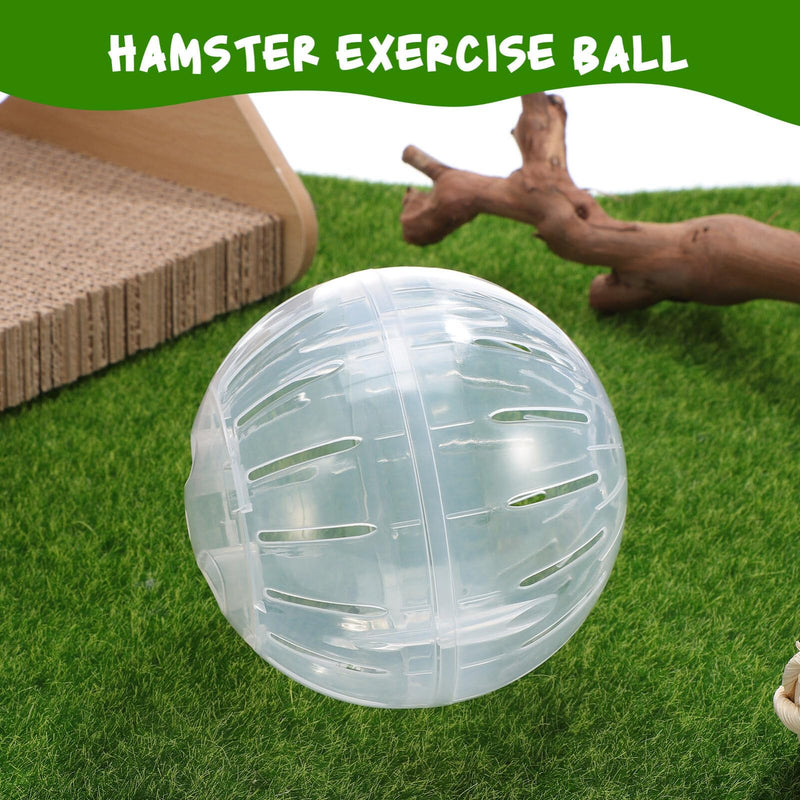 Kisangel 1pc Hamster Ball Rat Balls to Run Around Small Animal Running Ball Hamster Exercise Toys Small Pet Activity Supply - PawsPlanet Australia