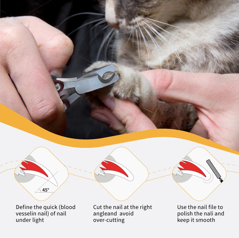 3-in-1 Cat & Dog Grooming Kit - Gentle Nail Clipper with Smoothing File,Foldable Beginner-Friendly Design,Low-Stress Trimming for Puppies Kittens Small Pets - PawsPlanet Australia