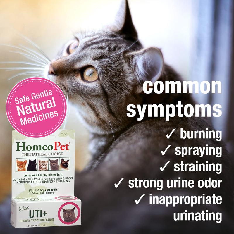 HomeoPet Feline UTI Plus Urinary-Tract Relief, Urinary-Tract Support for Cats, 15 Milliliters - PawsPlanet Australia