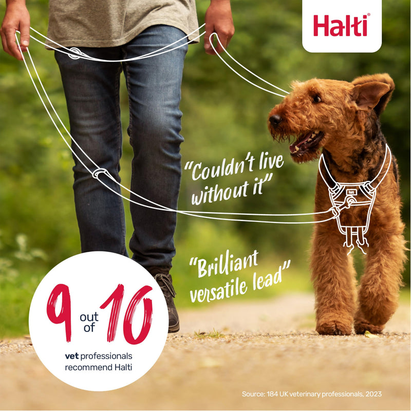 Halti Training Lead - Professional No-Pull Double-Ended Dog Lead, Lightweight, Soft & Durable, Ideal for Obedience Training & Everyday Walks with Dogs and Puppies (Size Small, Burnt Orange, 2m) S - PawsPlanet Australia