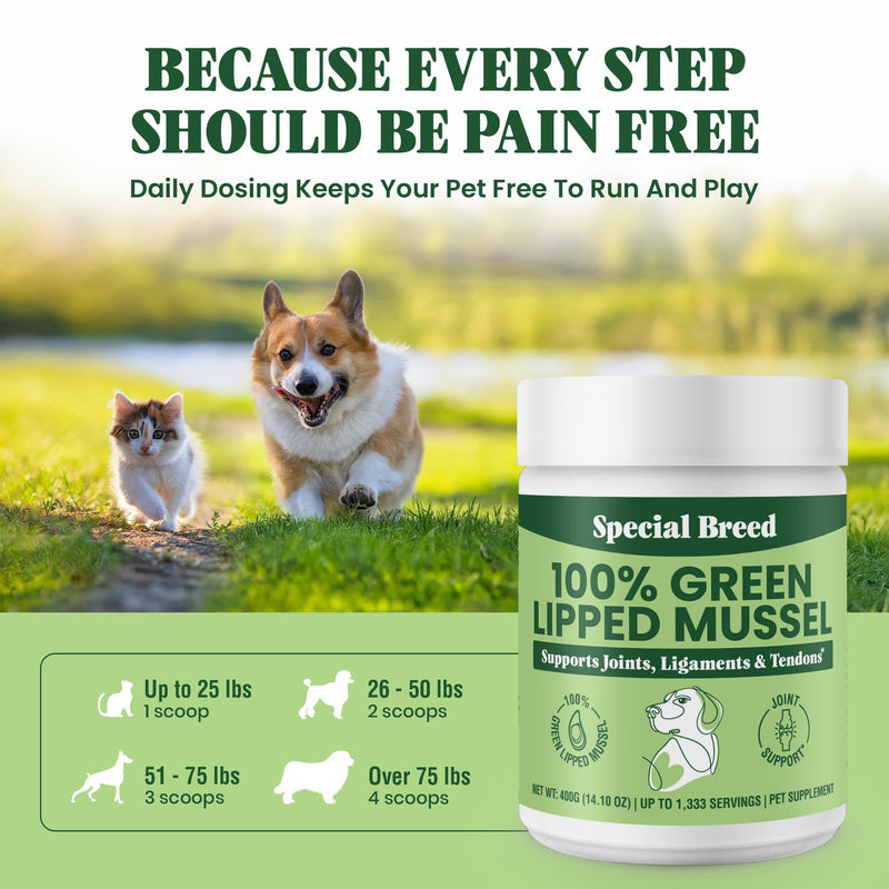 Special Breed Green Lipped Mussel Powder for Dogs & Cats - 100% New Zealand Green Lipped Mussels - Natural Hip & Joint Supplement for Joints, Tendons, Ligaments, Muscles - 400 Grams - 1,333 Servings