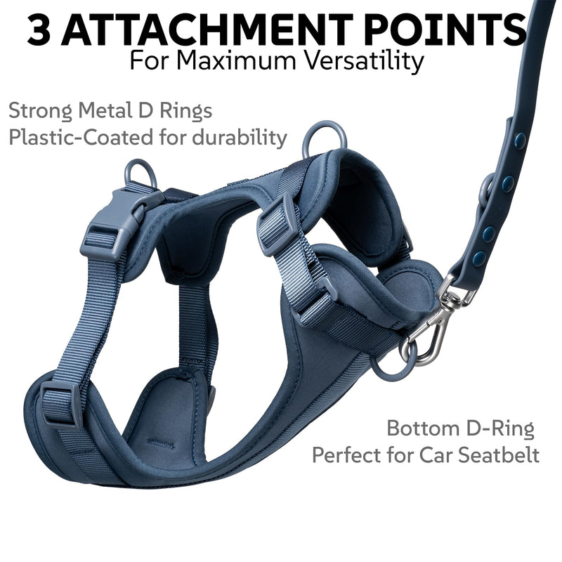 Dog Harness, Collar & Leash Set – Adjustable No Pull Harness with 3 Leash Clips, Waterproof Matching Collar & Leash, Breathable Comfort (Blue, Small) Blue - PawsPlanet Australia