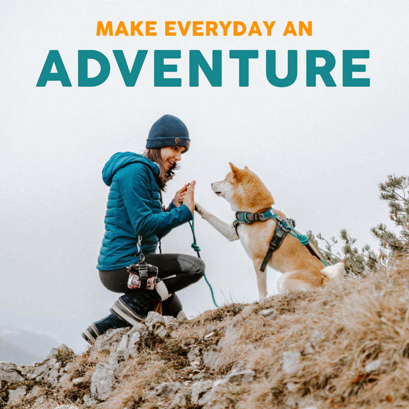 Embark Adventure Medium Dog Collar – Stylish, Durable Nylon, Adjustable & Comfortable, Strong Buckle Aztec
