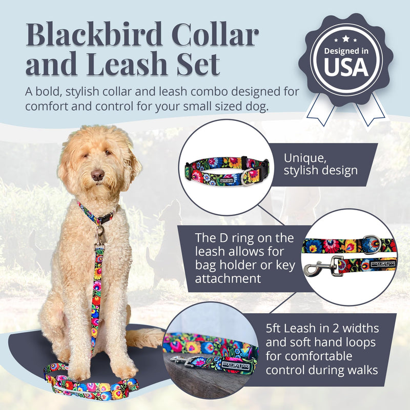 Lucky Love Dog - Easy Click Buckle Dog Collar with Leash Set Combo, Durable & Comfortable for Male & Female Dogs, Pet Collar for Small to Large Dogs, Secure Fit - Blackbird Combo, Small Small | 10-15" Blackbird Collar/Leash Combo - PawsPlanet Australia