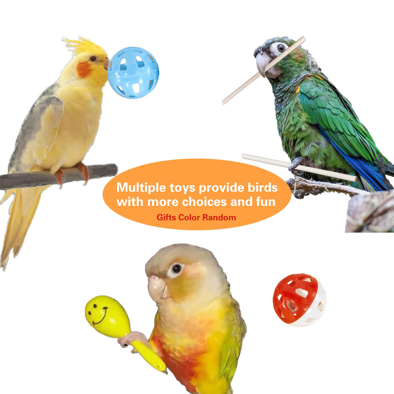 Bird Foraging Toys,Parrot Training Toys,Parrot Interactive Toys to Increase Feeding Time, Bird Enrichment Toys for Small and Medium Parrots,Cockatiel,Parakeet,Conures,Budgie,(Random color for gitfs) - PawsPlanet Australia
