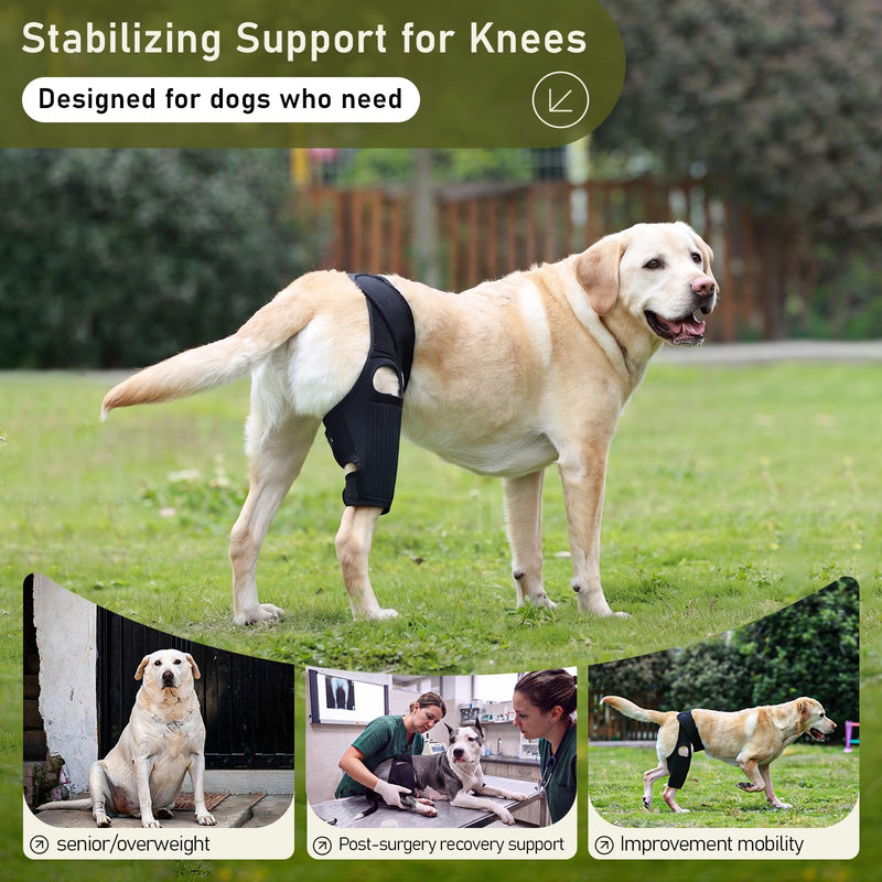 Pezluxe Dog Knee Braces for Back Leg, Adjustable Torn ACL Brace for Dogs, Breathable Dog Hip Brace with Stabilizers for Arthritis, Joint Stability, Luxating Patella & Post-Surgery Recovery (S) S