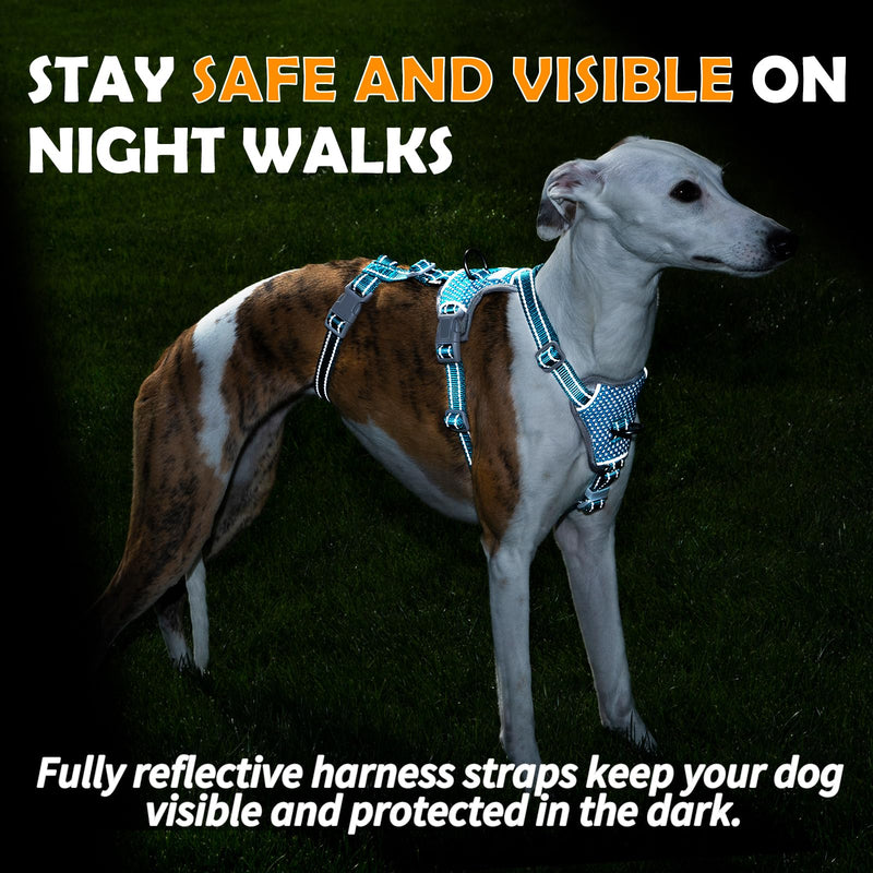 Huntboo Escape Proof Dog Harness – No Pull, No Slip, Fully Reflective, Adjustable 7-Point Design for Small, Medium, and Large Dogs – Lightweight for Outdoor Training & Hiking (Teal, M) Medium (Pack of 1) Teal - PawsPlanet Australia