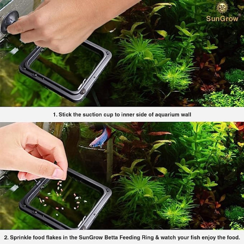 SunGrow 2 Betta Feeding Ring, Prevent Water Turbulence from Washing Food into Filter, Practical Round Floating Food, Suitable for Guppy, Goldfish and Other Small Fish - PawsPlanet Australia