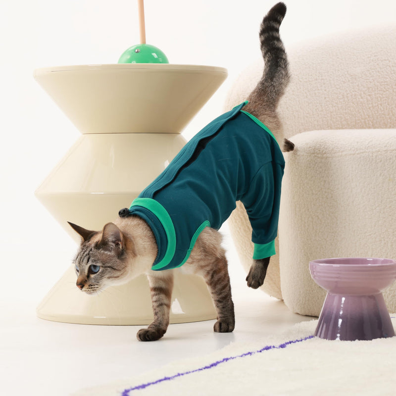 Cat Recovery Suit with Hind Legs, Soft Spay Recovery Suit for Female Cats, Kitten Onesie for Cats After Surgery, Anti-Licking Abdominal & Hind Leg Wound Protector, Cone Alternative - Green L Large
