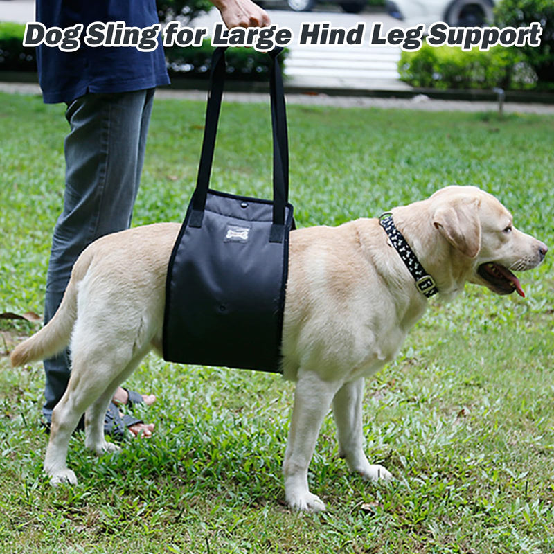 Dog Sling for Large Dogs Hind Leg Support, Dog Lift Harness with Handle for Lifting Back Legs for Weak Rear Legs, Soft Hind Leg Helps Senior, Injured, Disabled & After ACL Surgery (Blue, XL) Blue - PawsPlanet Australia