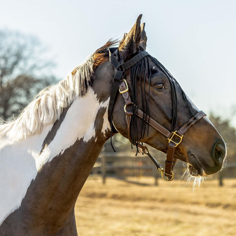 Horze Simple Lightweight Insect and Fly Veil for Sensitive Horses - No Halter Needed - Black - M