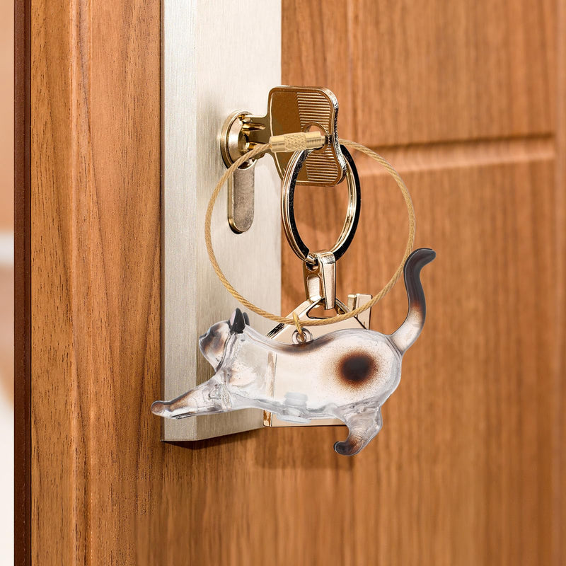 Healifty Pet Hair Keychain with Transparent Plastic Box for Storing Cat Hair, Organizer with Siamese Cat Design for Cat Lovers and Keepsakes