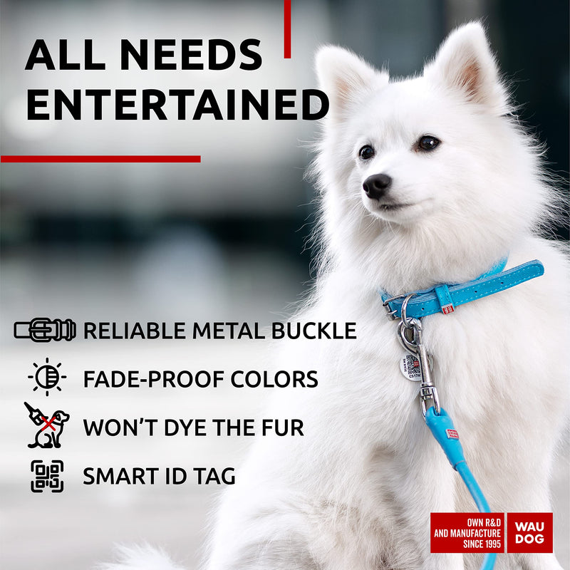 WAUDOG Ultra Soft Rolled Leather Collar - Soft Padded for Small, Medium, and Large Dogs - Puppy Collar for Male and Female Dogs 10" - 13" Neck Blue - PawsPlanet Australia