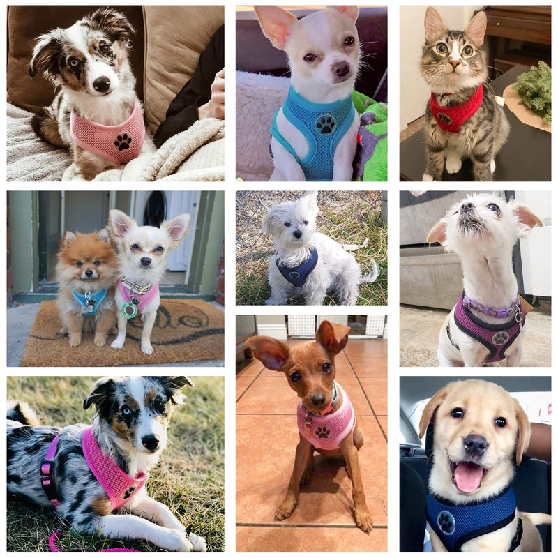 BINGPET Dog Vest Harness -Light Weight Breathable Sports Mesh - Pet Adjustable Harness Puppy Padded Harnesses Dog Vest Harness for Small Dogs X-Small (Neck Girth 11") Pink - PawsPlanet Australia