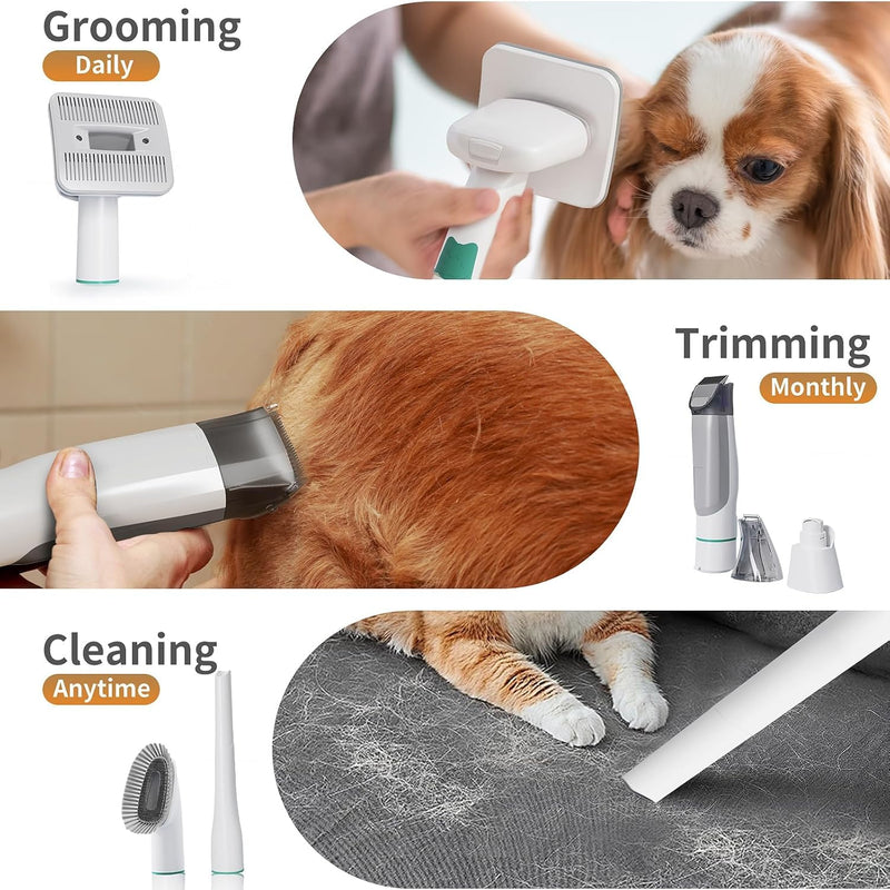 Dog Grooming Kit, Pet Grooming Vacuum with Pet Clipper Nail Grinder, Dog Hair Vacuum with 6 Pet Grooming Tools for Dogs Cats Shedding Grooming - PawsPlanet Australia