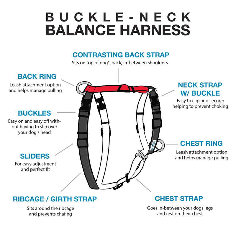 Blue-9 Buckle-Neck Balance Harness, Fully Customizable Fit No-Pull Harness, Ideal for Dog Training and Obedience, Made in The USA, Red, Medium M (Ribcage: 21"-32") - PawsPlanet Australia