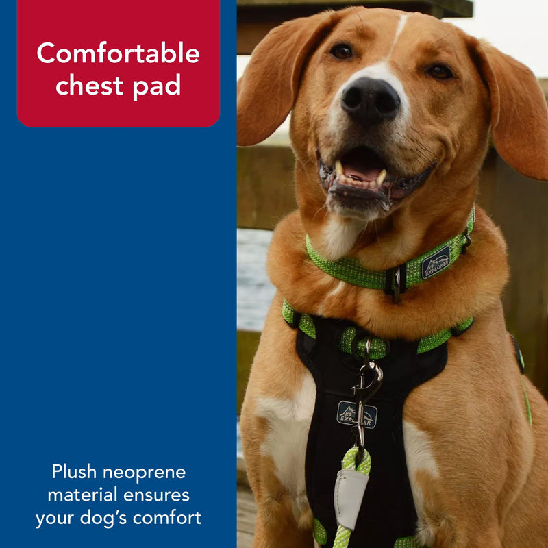 Coastal - K-9 Explorer - Brights Reflective Front-Connect Harness, Canyon, 1" x 20"-30" 1" x 20"-30" (Pack of 1) - PawsPlanet Australia