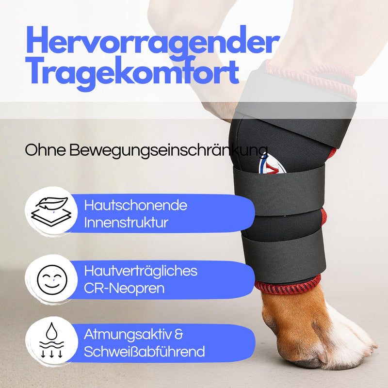 TSM Dog Bandage Hind Leg Rehabilitation Bandage without Splint Support for Osteoarthritis and Injuries Can be Worn on Both Sides Made in Germany Size L